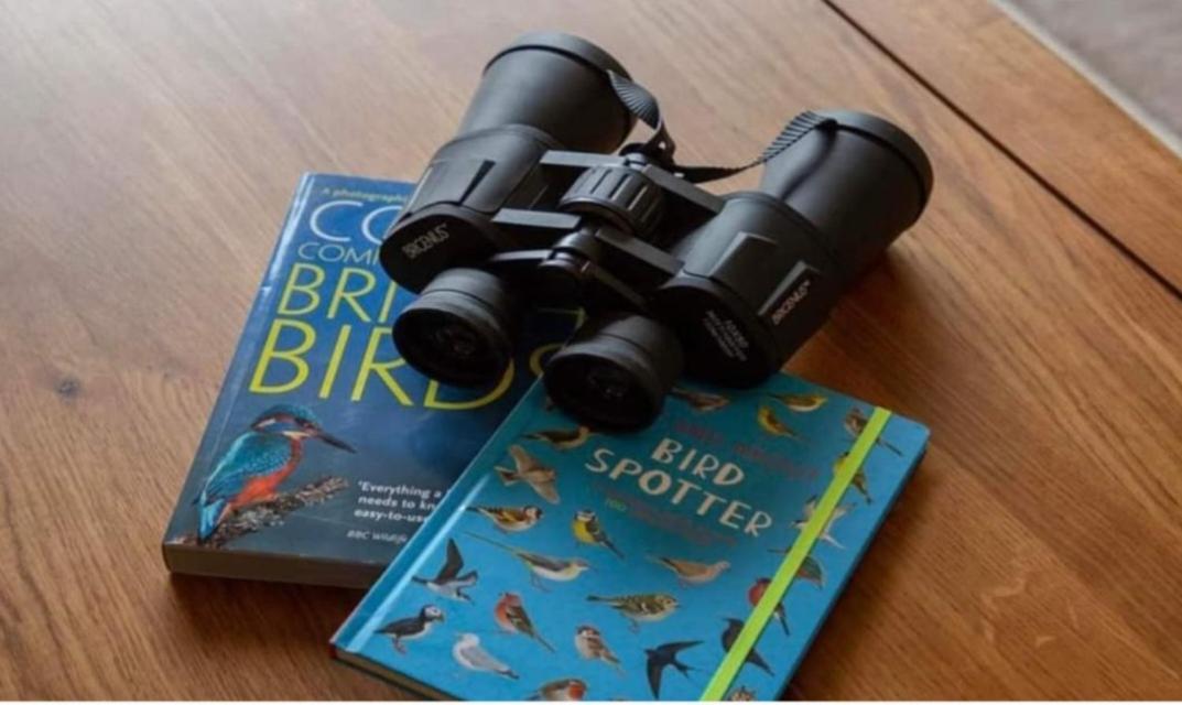 Cresswell  The Gull & Puffin Cresswellヴィラ エクステリア 写真